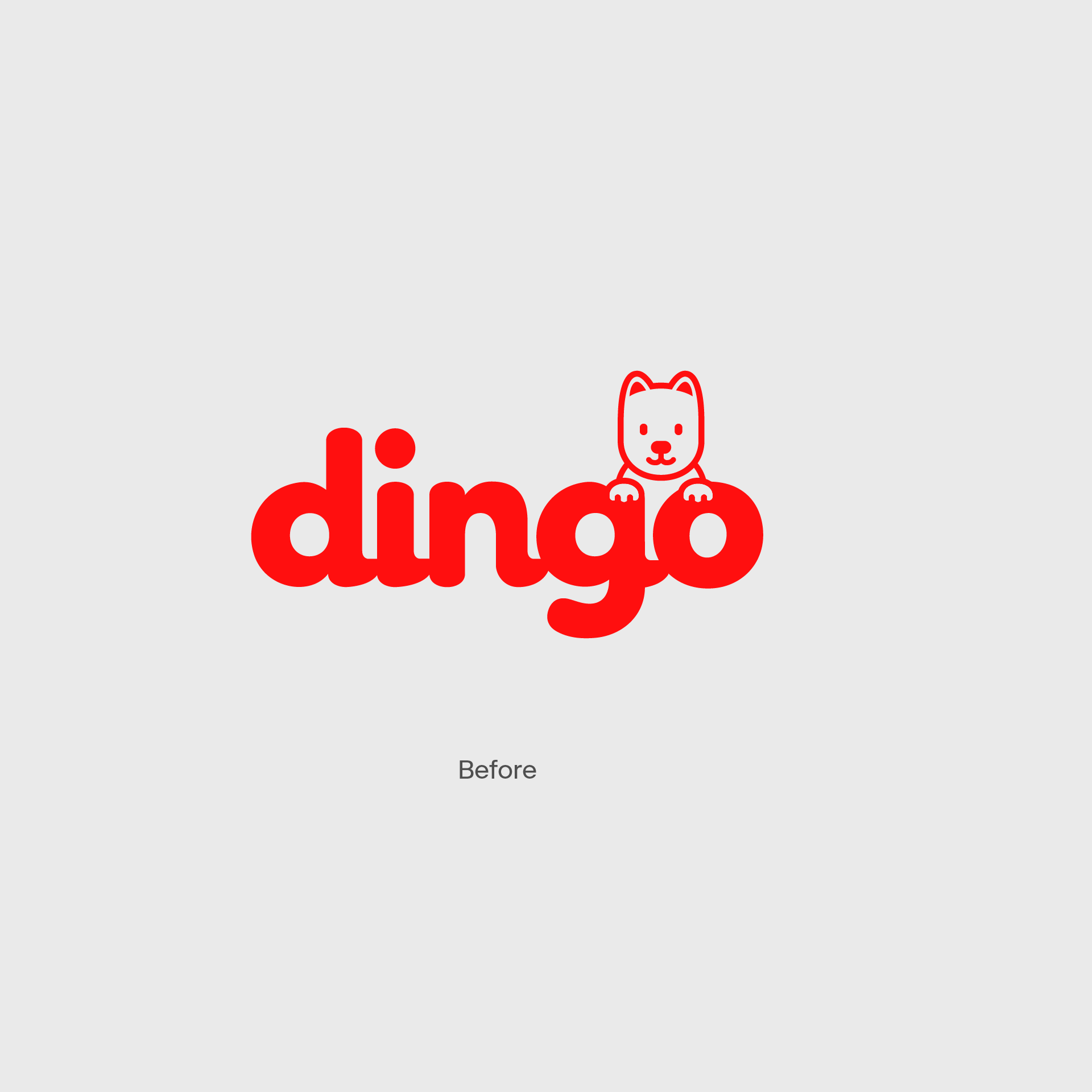 dingo_3